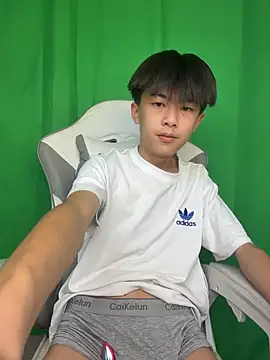โชว์เว็บแคมของ DD-101