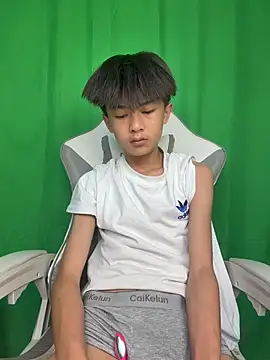 DD-101 网络 视讯表演