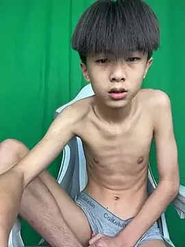 DD-101 网络视讯表演