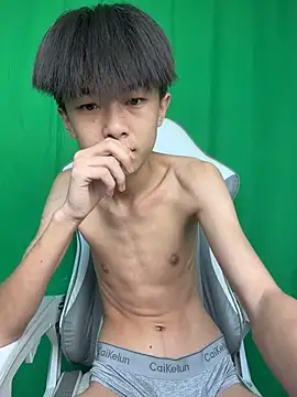 Show webcam de DD-101