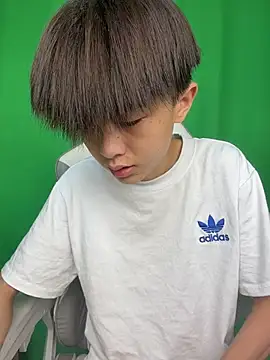 DD-101のウェブカメラショー