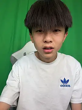 DD-101 Pertunjukan Webcam