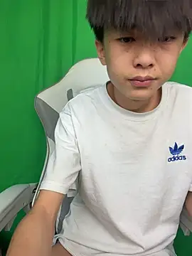 Show webcam de DD-101