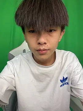 DD-101 网络视讯表演