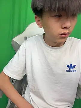 DD-101 网络视讯表演