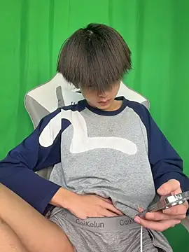 DD-101n Webbikameraesitys