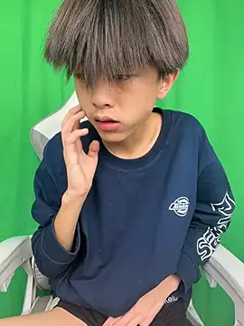 DD-101のウェブカメラショー