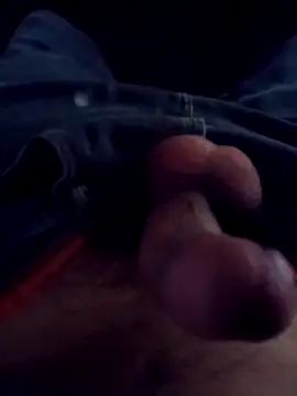 Vandicrioot Show in webcam