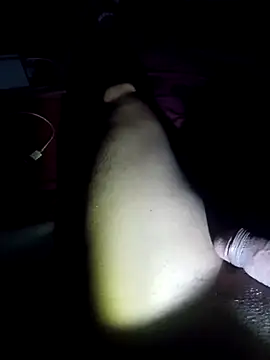 Vandicrioot Webcam show