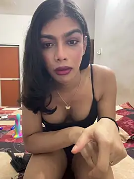 Hyt_Anddyn Webbikameraesitys