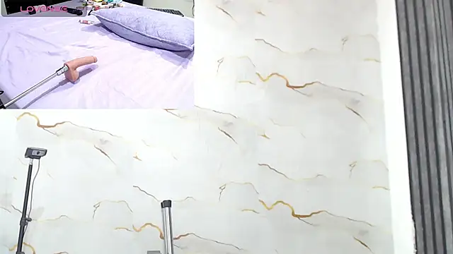 Liaa_cams 실시간 채팅방