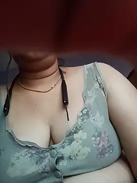 Hansikatelugu's Webcam Show