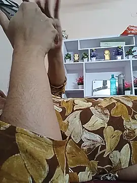 Hansikatelugu's Webcam Show