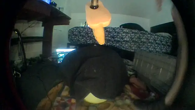 Show webcam de hardkoregigi