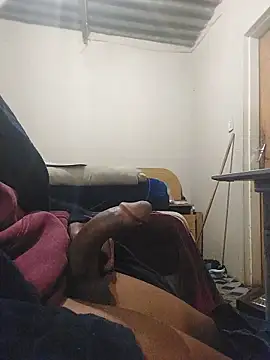 sixInchMan00n Webbikameraesitys