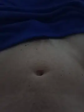 InkedHeatX99n Webbikameraesitys