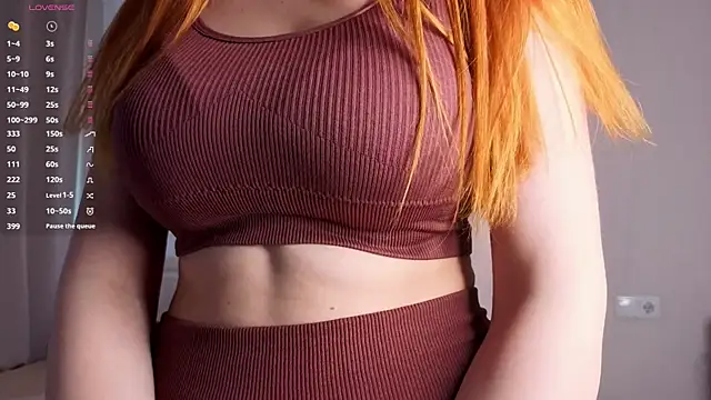 SansaFlow webcam show