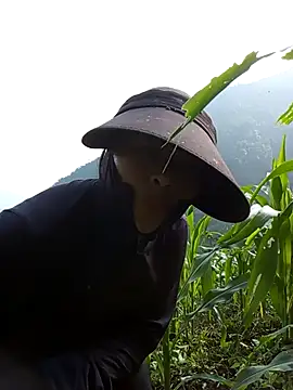 Senh_9x 网络视讯表演