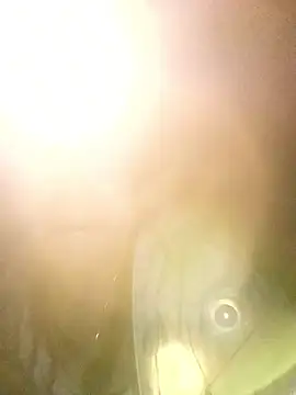 Senh_9x Cameră chat live