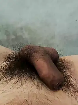 chinpopaipan 웹캠 쇼