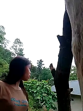 عرض كام daisyy2