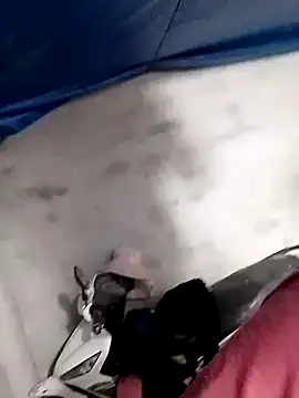 Živá chatovací místnost daisyy2