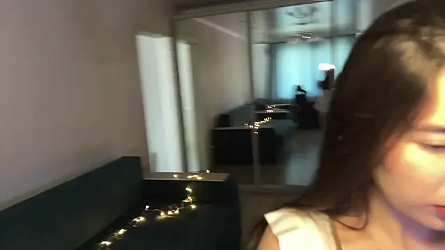 Show Webcam de Ellewaay