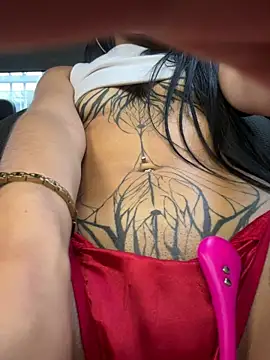 Dakota-fire Show in webcam