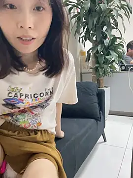YN1CP520 网络视讯表演