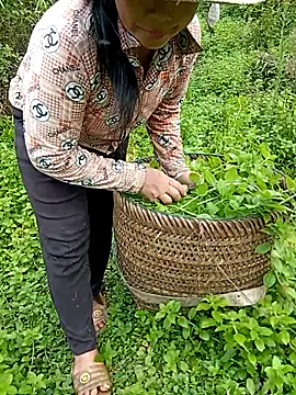 دردشة tuyet-nhi الجنسية المباشرة