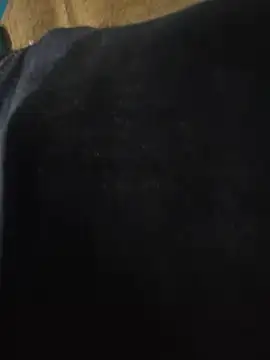 Kkkkht1v webkamerás műsora