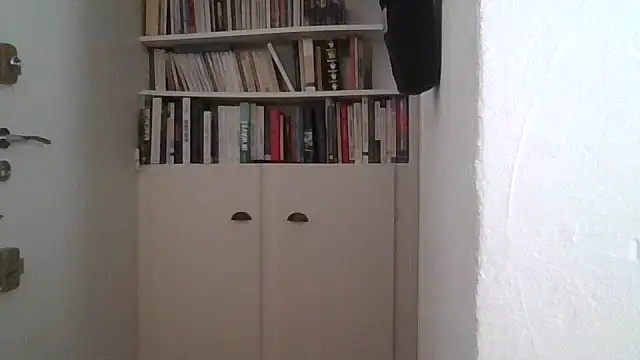 Playeur13 Webcam show