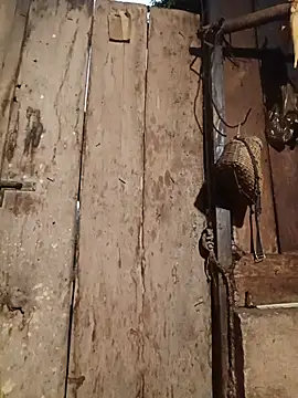 Sala de chat ao vivo de Jinli_01