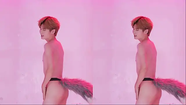 AOA-ACE – webcam-show