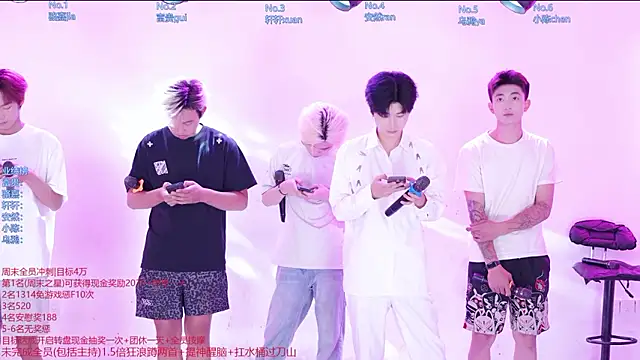 Show webcam de AOA-ACE