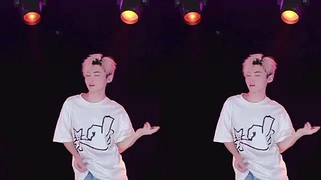 AOA-ACE – webcam-show