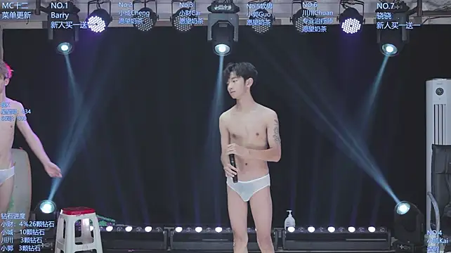 Show modela AOA-ACE na web-kameri