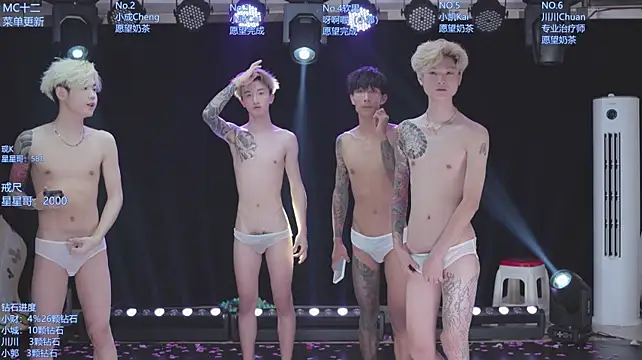 AOA-ACE – webcam-show