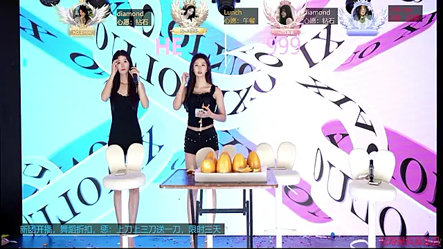 HE-999 Show Webcam