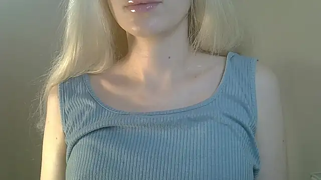 ViraVreman Webbikameraesitys