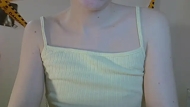 ViraVreman Webbikameraesitys