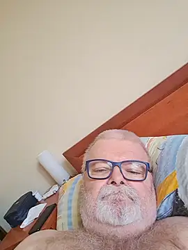 Show webcam de petvarad
