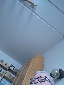 petvarad webkamerás műsora