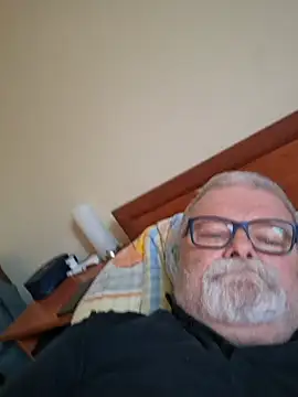 petvarad webkamerás műsora