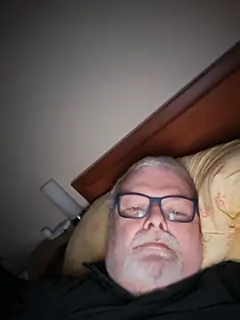 Show webcam de petvarad