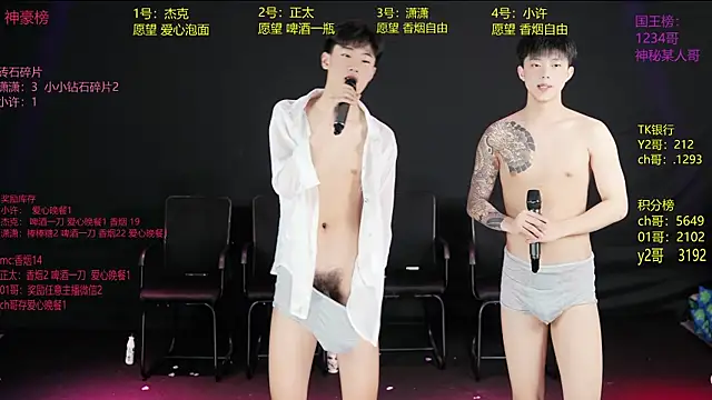 Show webcam de WildBoys-001