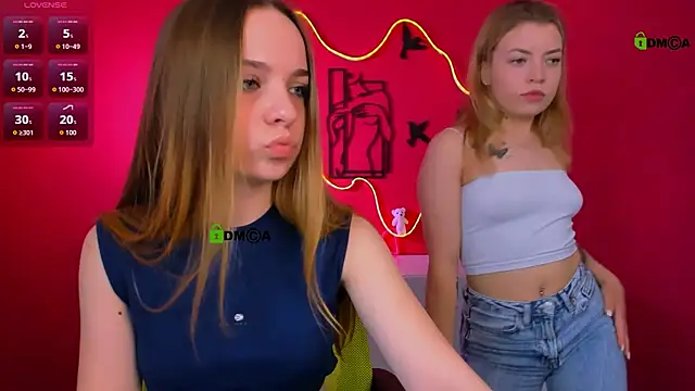arya_iconn Webbikameraesitys