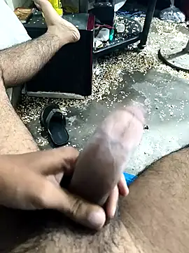 skasiffff Webcamshow