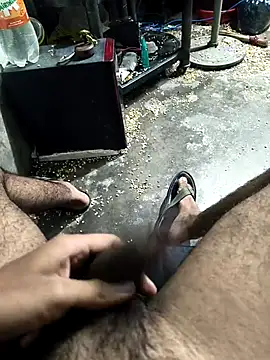 skasiffff Pertunjukan Webcam