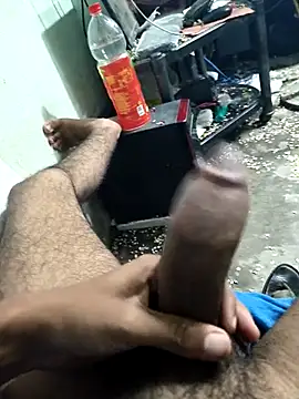 skasiffff Pertunjukan Webcam